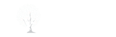 JM Okwara Foundation